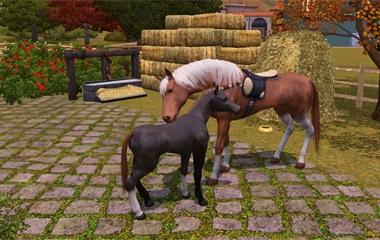 Sims 3, The - Детеныши животных, птицы, разведение и маленькие питомцы